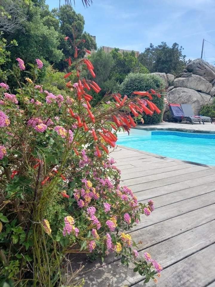 Residence Stella D'Oro Porto-Vecchio  Dış mekan fotoğraf